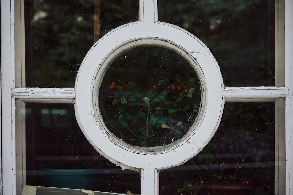 a window with a plant in it