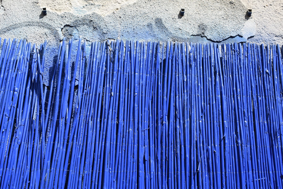 Bambous bleus alignés sur un sol graveleux.
