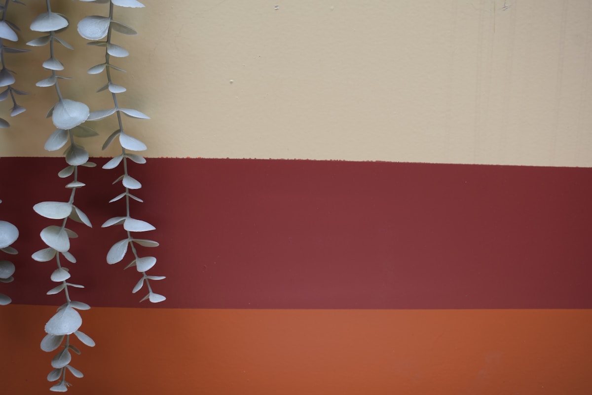 Branches de plantes suspendues sur fond de couleurs chaudes.