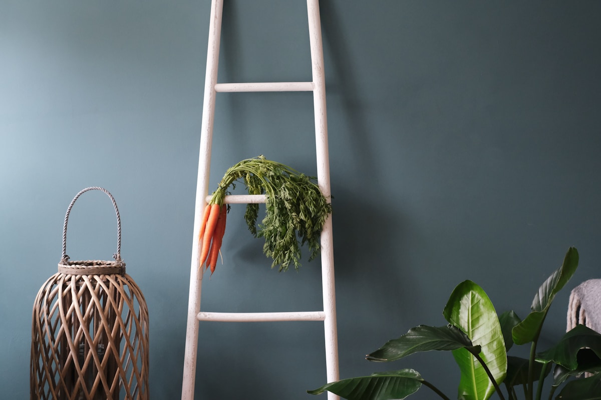 Échelle en bois, panier en osier, plantes vertes, fond gris.