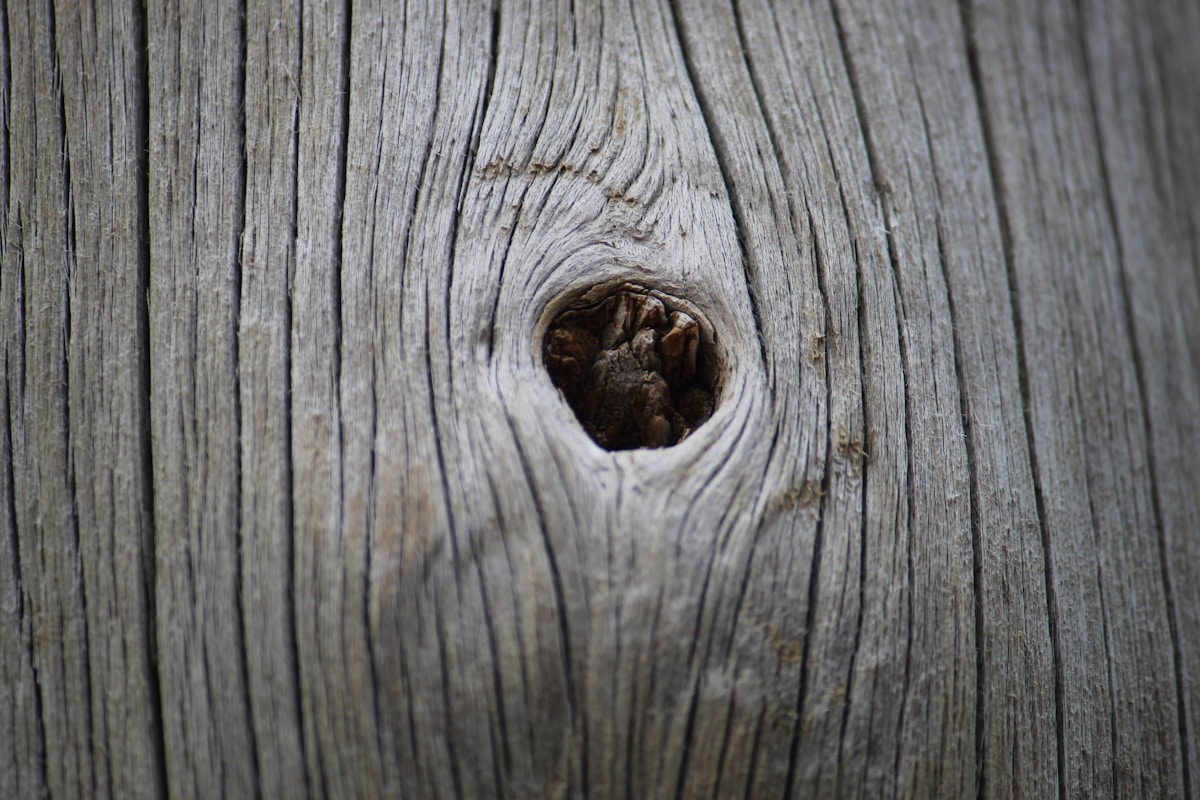 a close up of a piece of wood with a hole in it