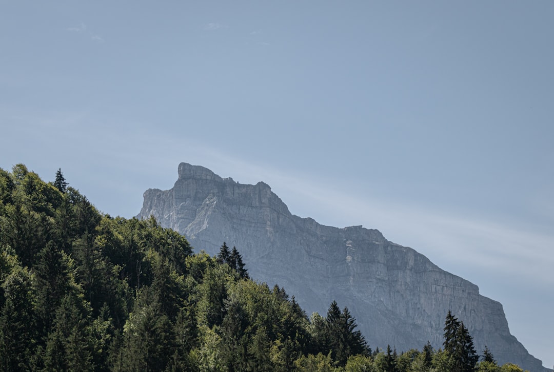 Paysage de Haute-Savoie avec arbres verts et montagne rocheuse, inspirant pour une entreprise de renovation haute savoie.