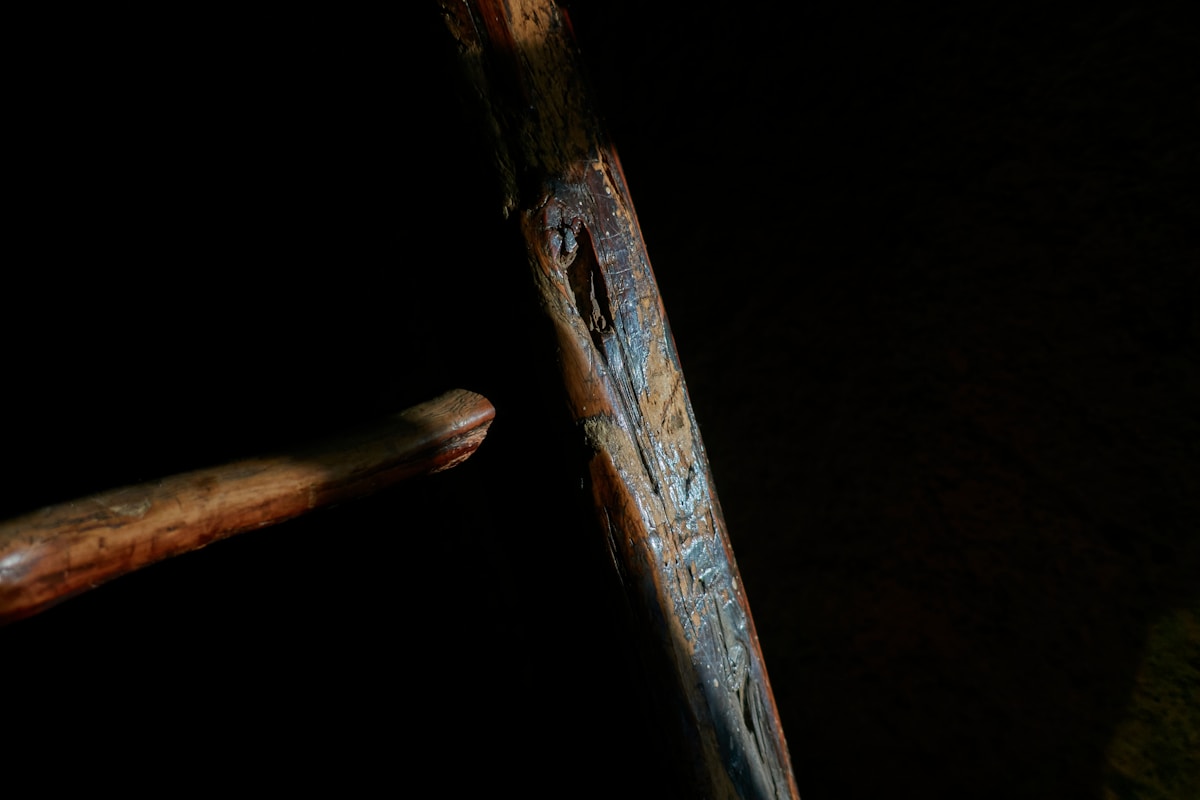 a close up of a piece of wood with a stick sticking out of it