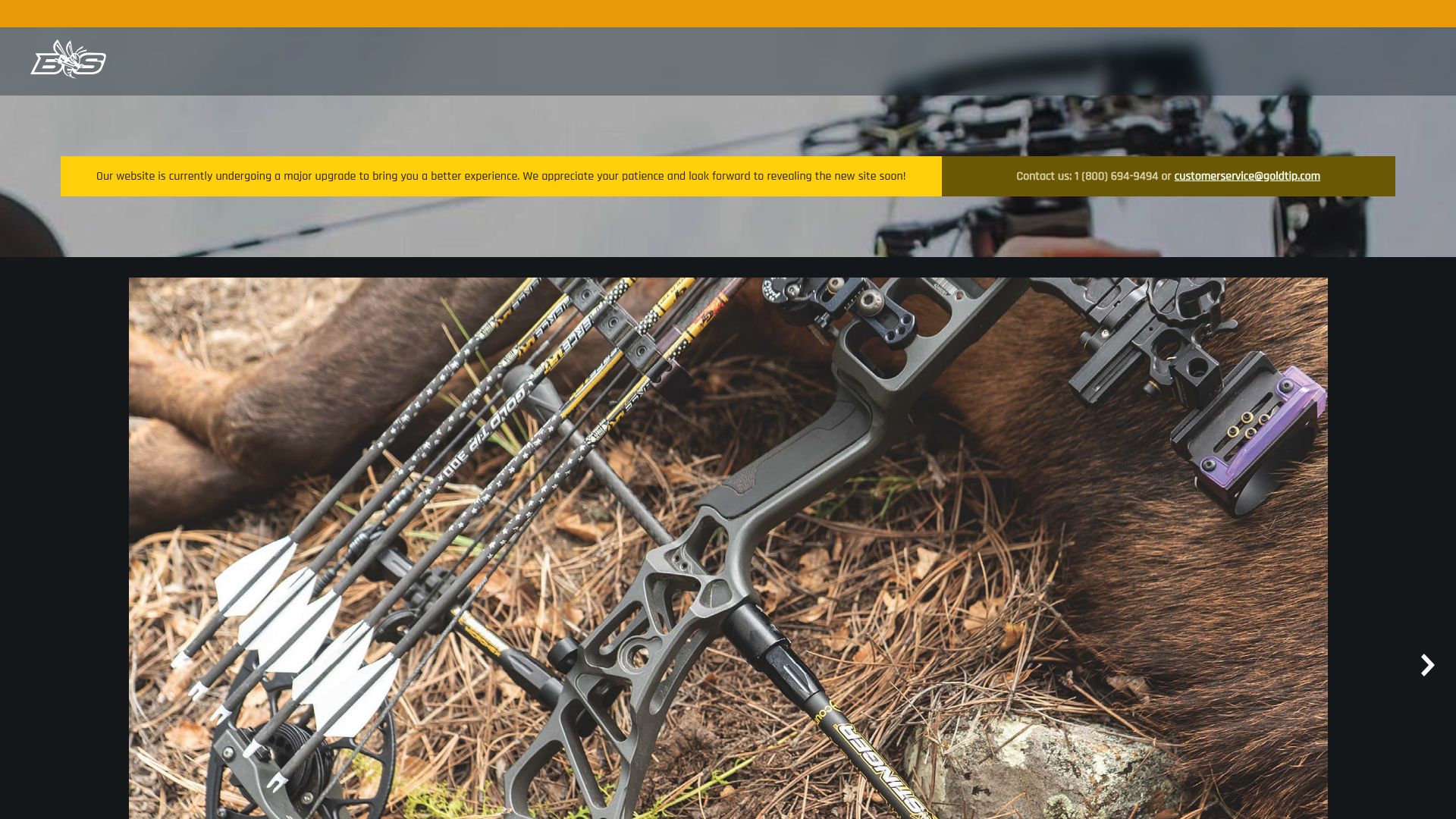 Screenshot of www.beestinger.com