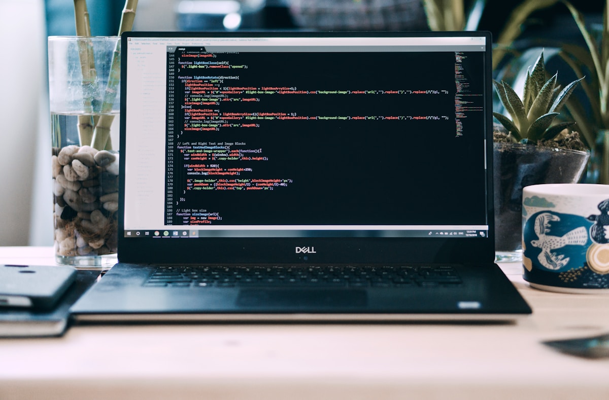 Ordinateur portable Dell avec code source de programmation affiché à l'écran, entouré de plantes et de pierres décoratives.