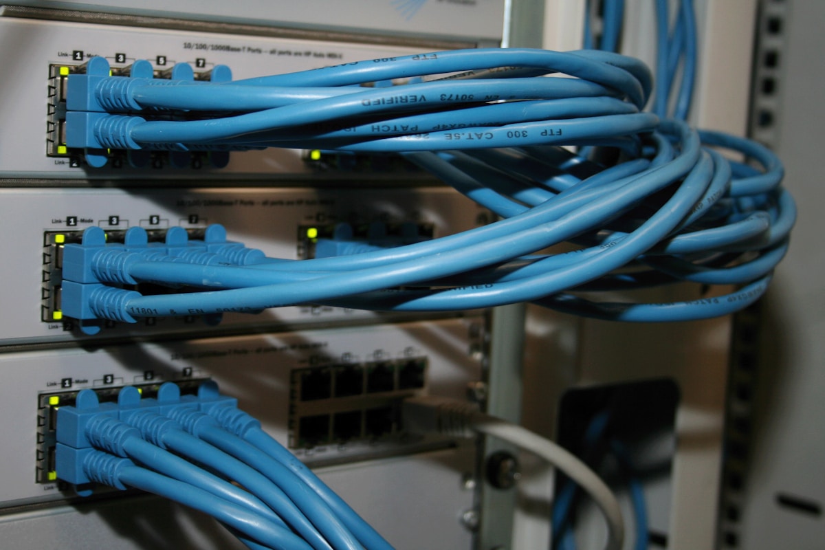 Câbles réseau bleus connectés à un équipement informatique.