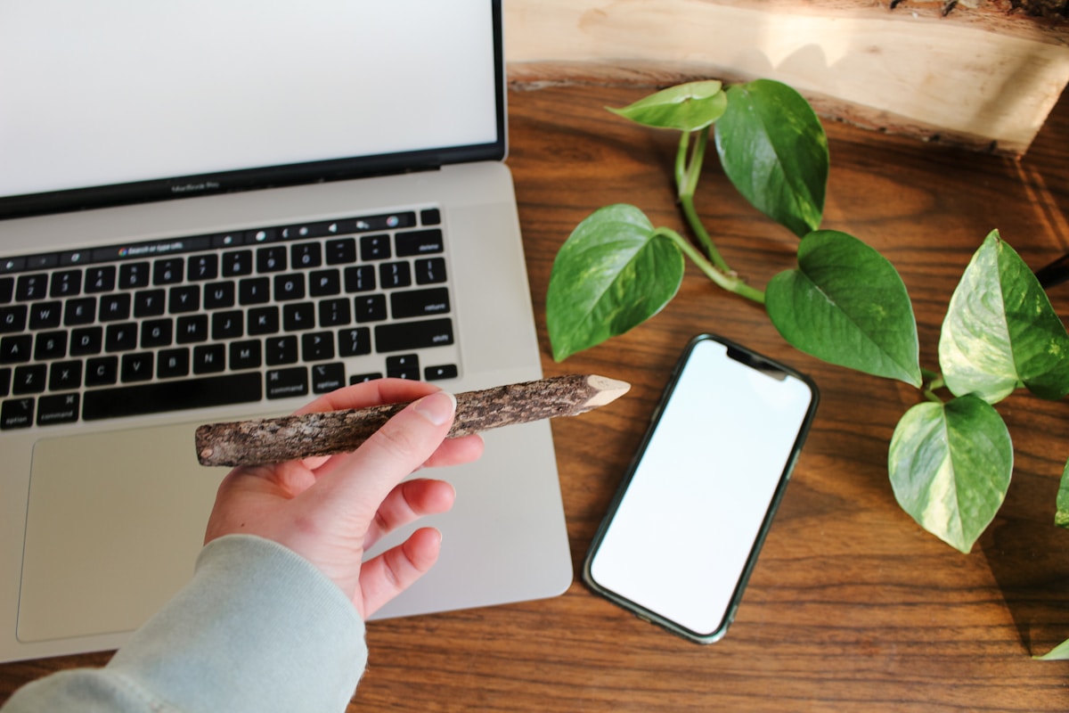 Ordinateur portable, smartphone, feuilles vertes, bureau en bois, main tenant un objet.