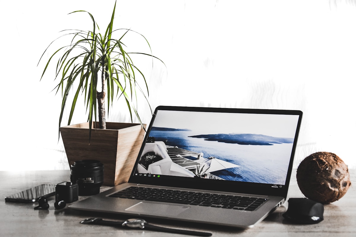 Ordinateur portable avec image de paysage marin, plante verte et accessoires.