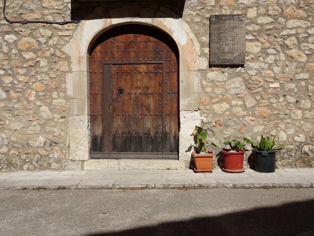 Porte en bois ancienne avec clous décoratifs, plantes en pot devant, mur de pierre.