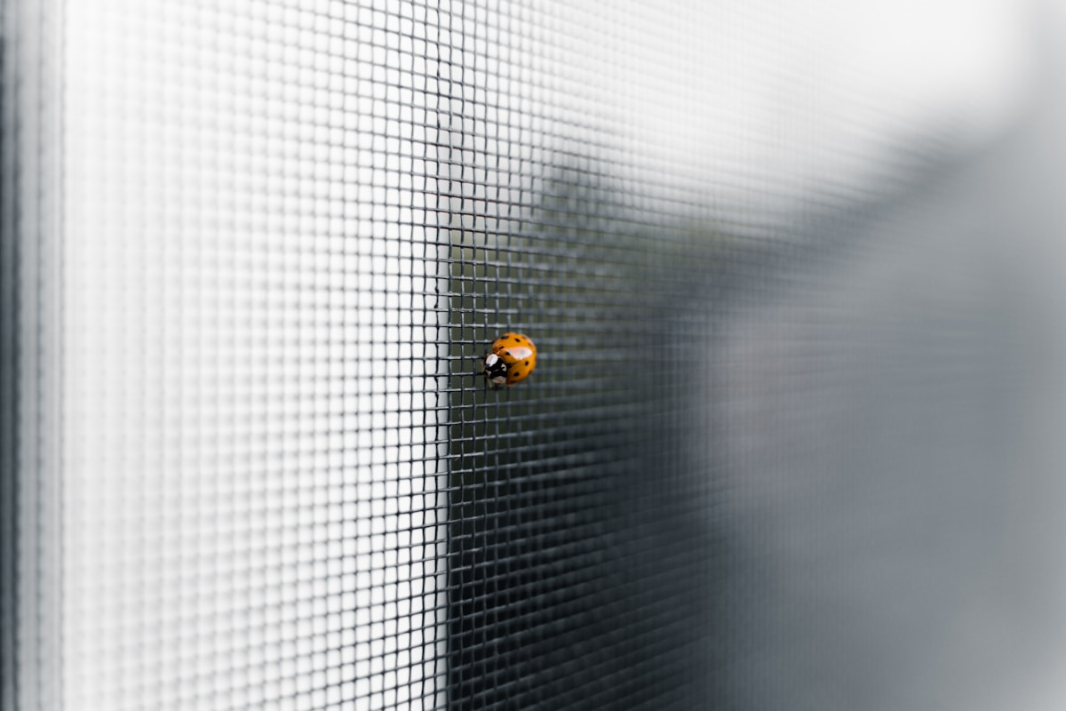 Coccinelle sur un maillage métallique flou.