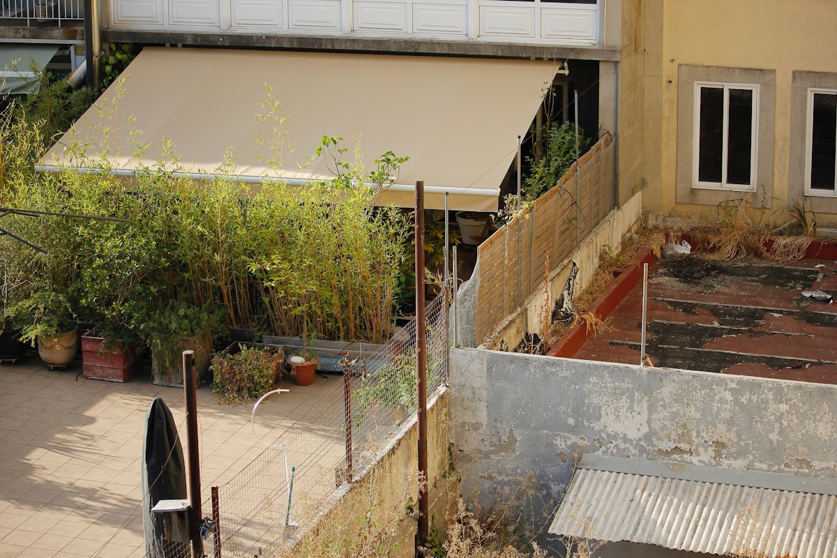 Cour intérieure avec végétation luxuriante et escaliers délabrés.