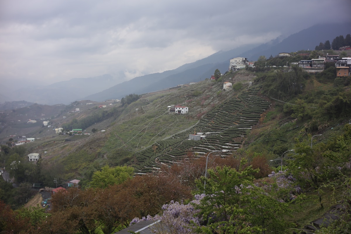 Paysage montagneux avec terrasses agricoles verdoyantes.
