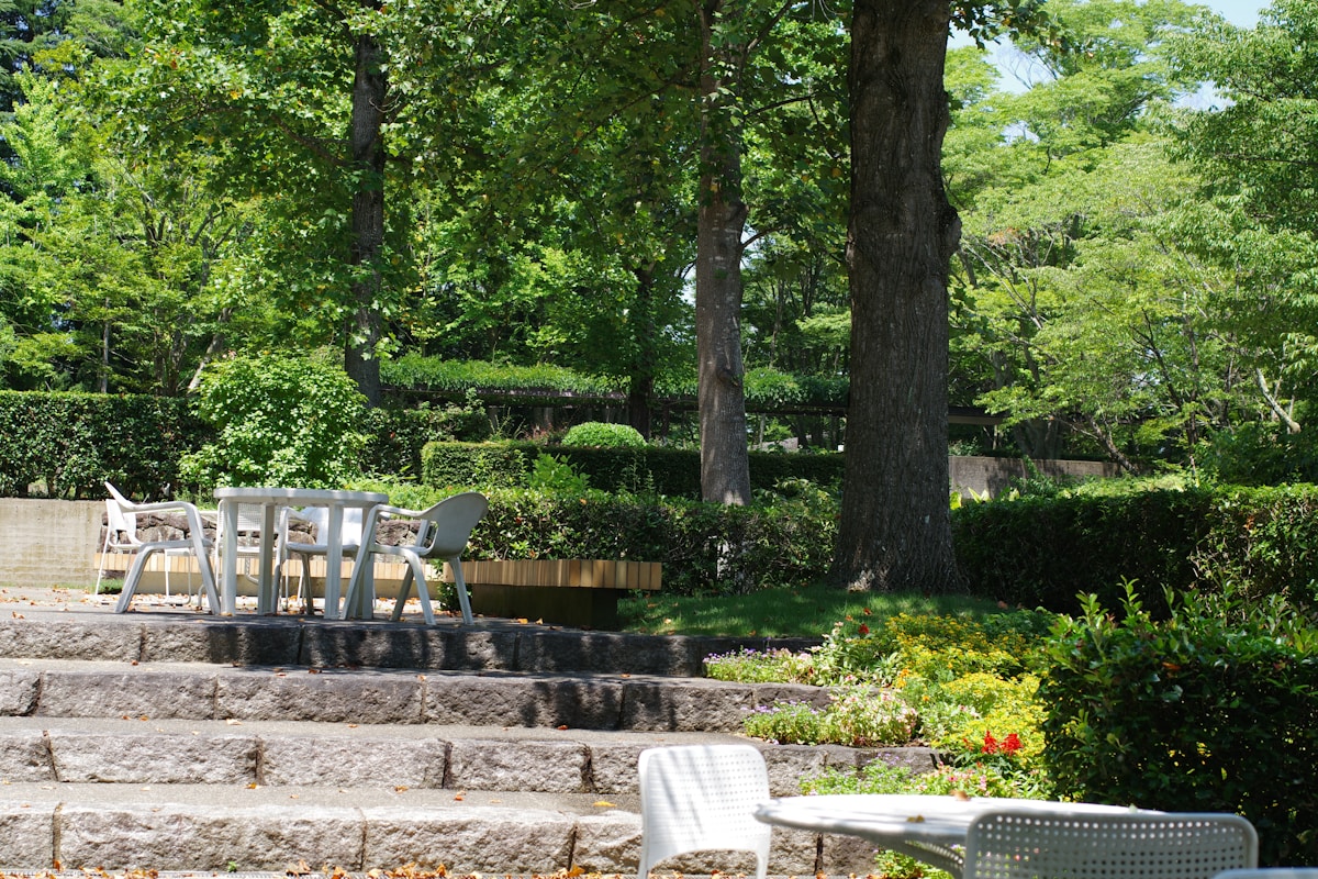 Jardin verdoyant avec terrasse et mobilier de jardin.
