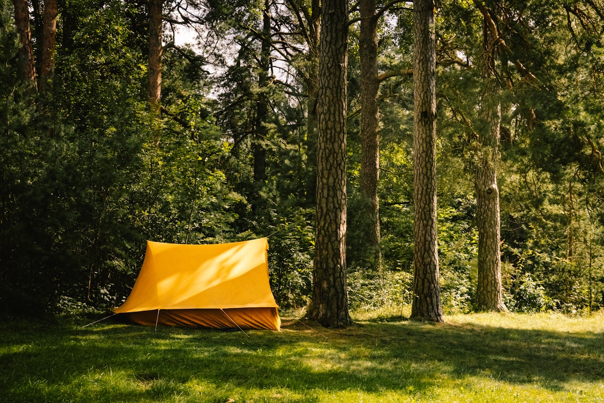 Tente de camping jaune dans une forêt verdoyante.
