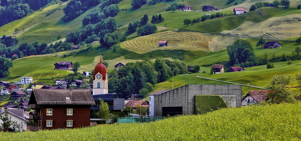 men's black and white t-shirt