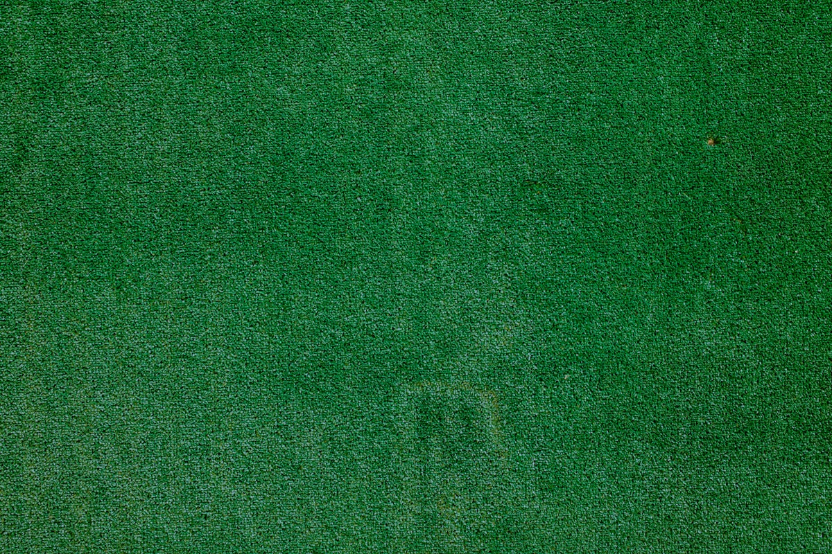 Solid green textured background.