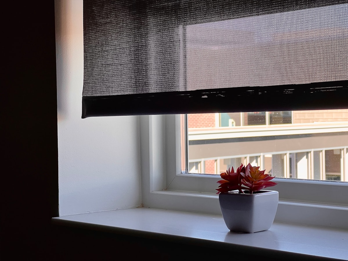 Fenêtre avec store sombre, plante succulente rouge sur le rebord.