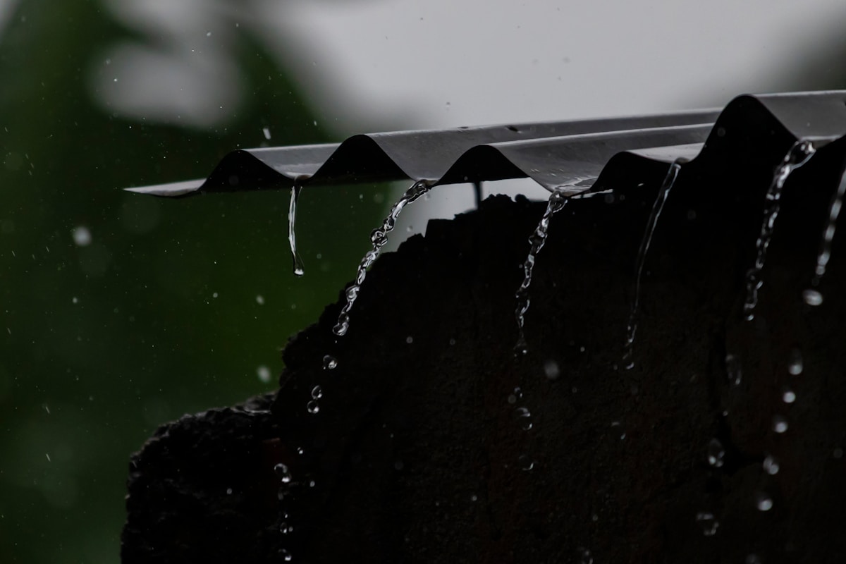 Gouttes de pluie sur une surface sombre et texturée.
