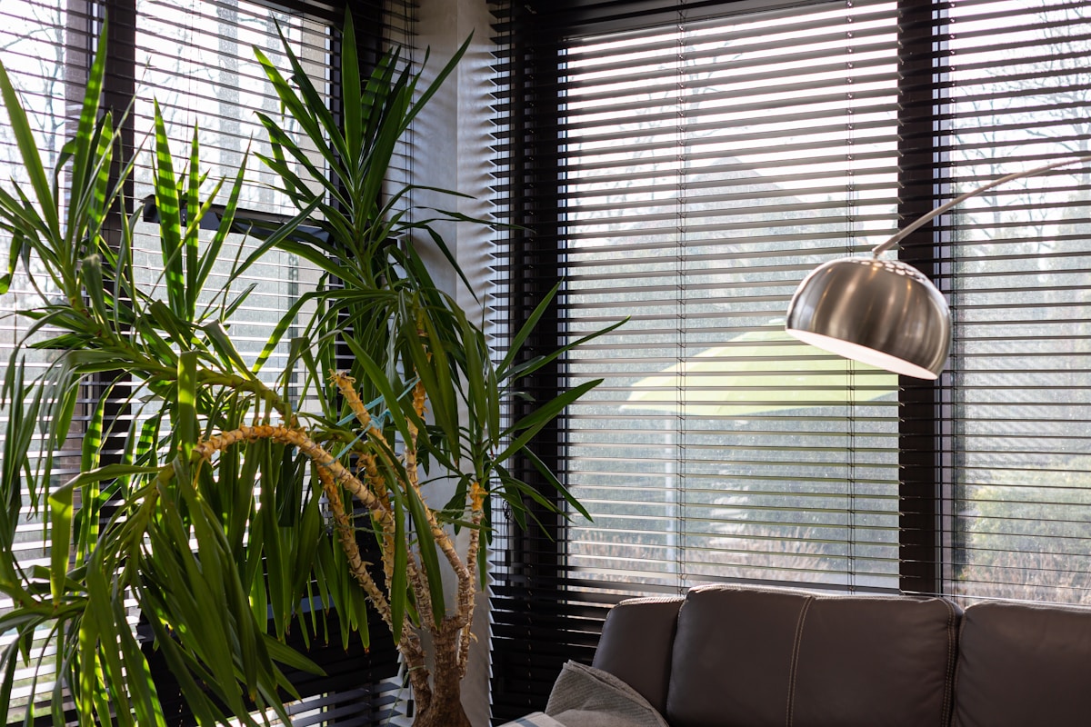 Intérieur moderne avec plante verte, lampe suspendue et stores vénitiens.