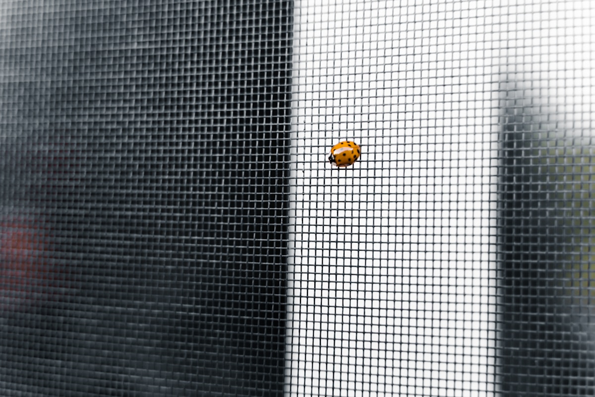 Maille métallique grise et blanche avec une coccinelle orange.