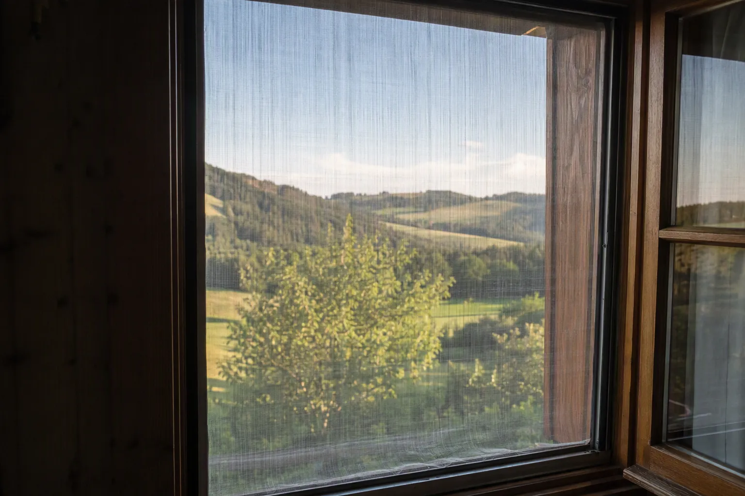 Moustiquaire à fenêtre en chalet suisse, lumière naturelle et vue campagne.