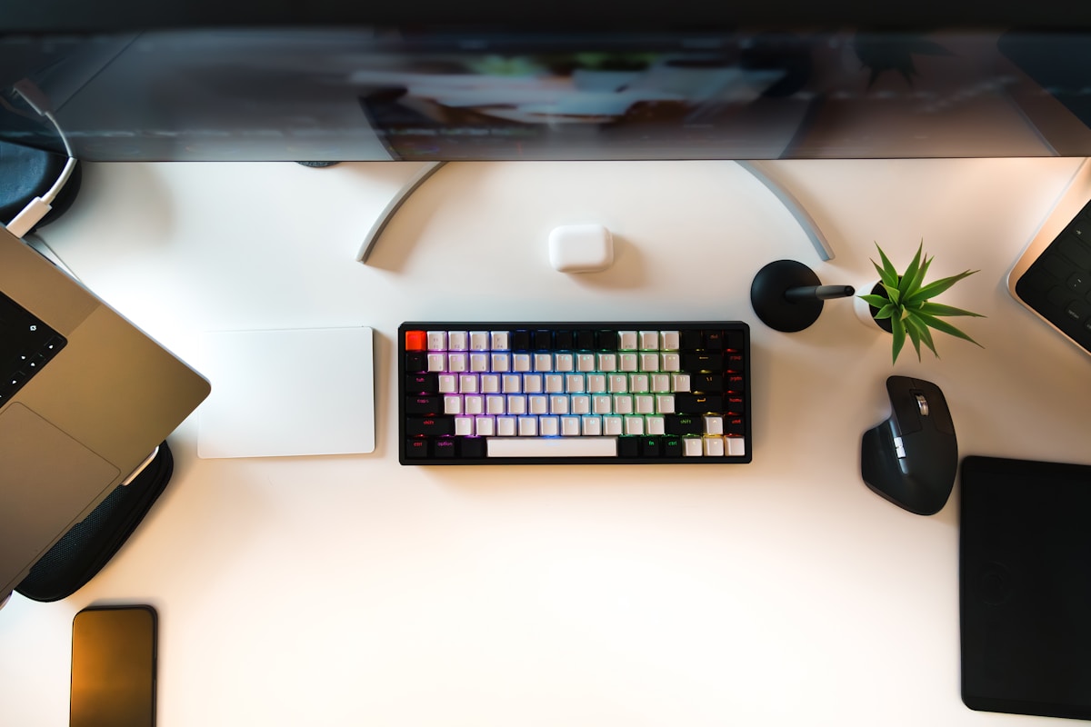 Bureau de travail avec clavier, souris et plante décorative.