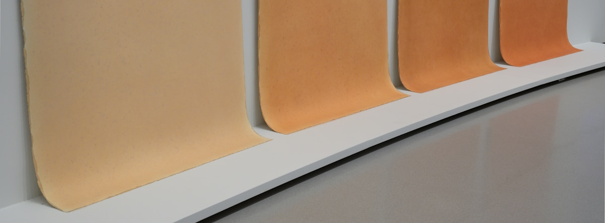 Panneaux muraux rectangulaires de couleurs beige et orange.