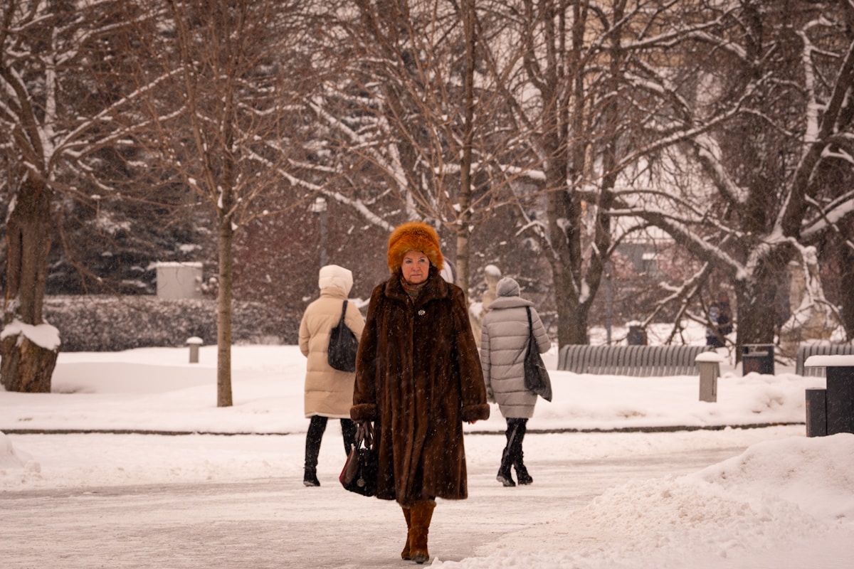 People walking in a snowy park during winter.