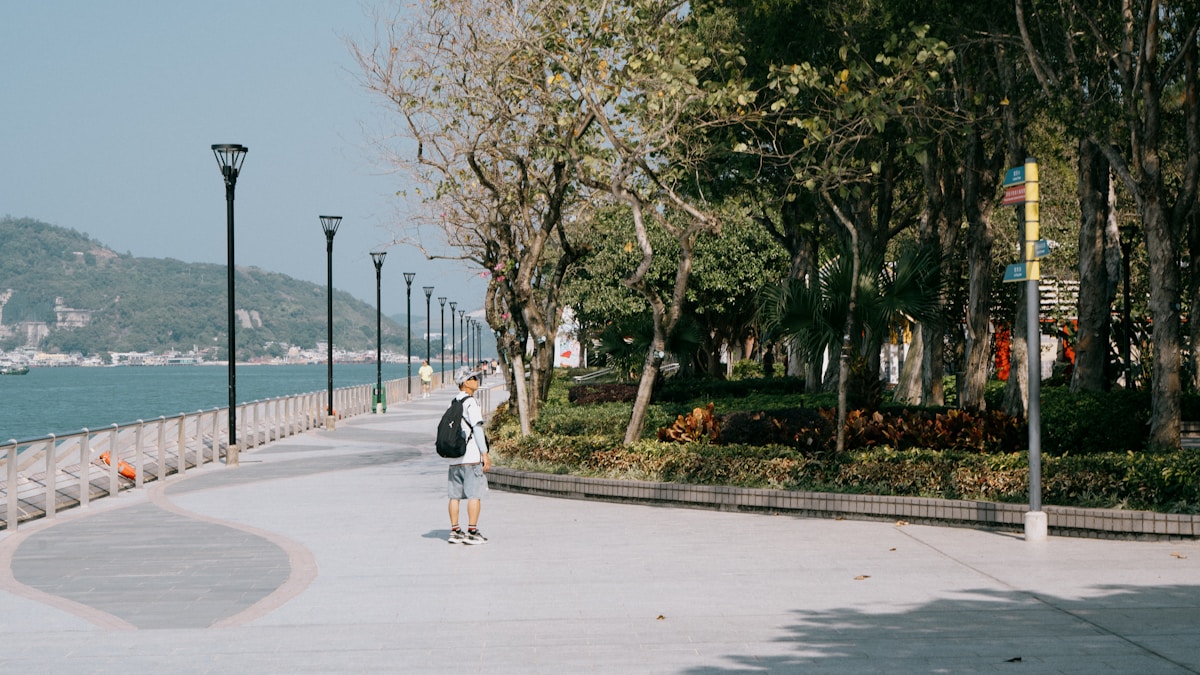 Promenade côtière ombragée avec lampadaires alignés.