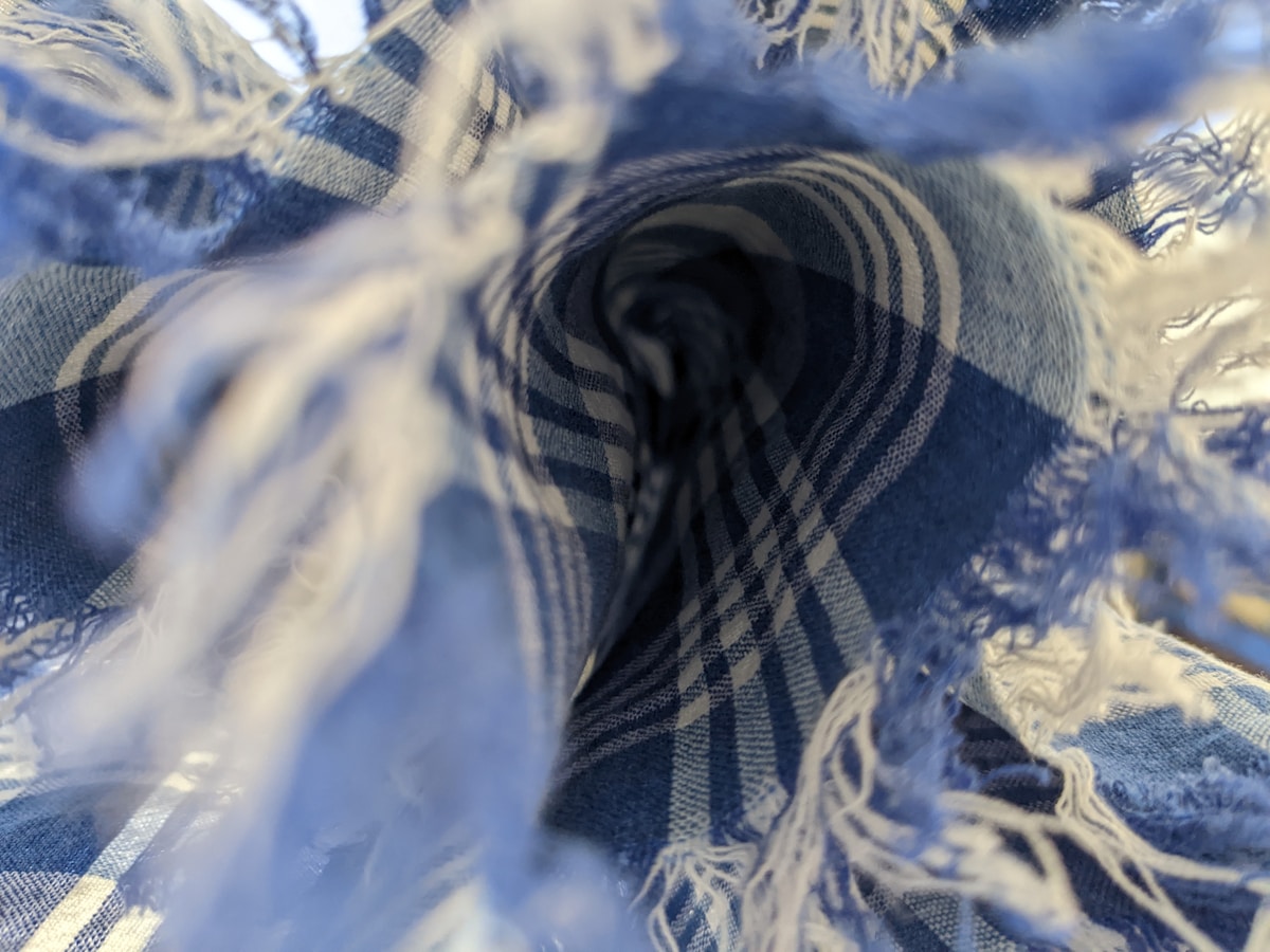 a close up of a bird