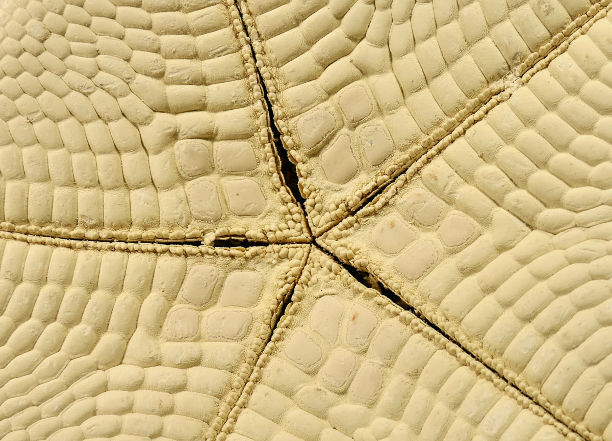 Close-up of beige textured surface with stitched seams