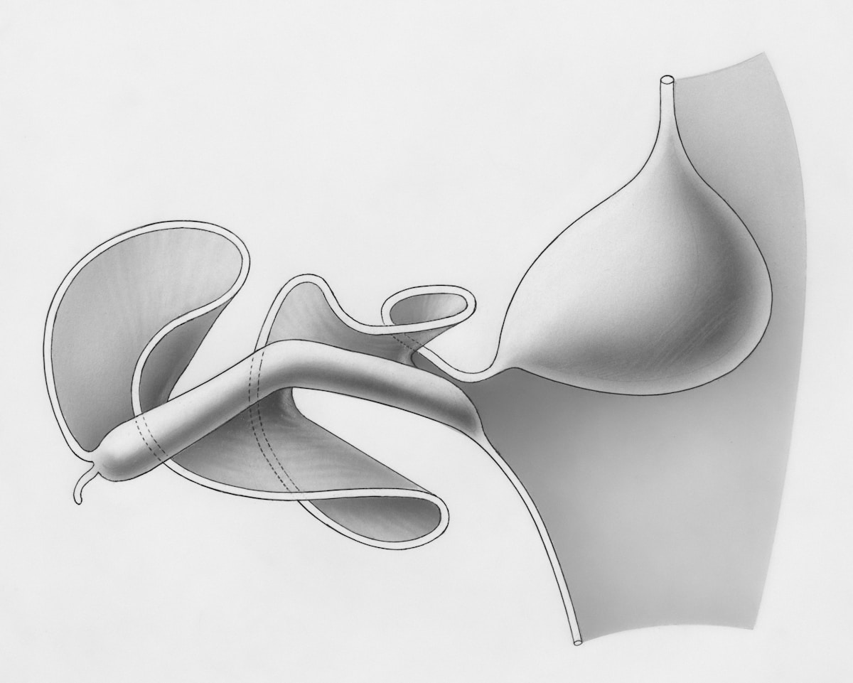 Formes organiques abstraites en noir et blanc.