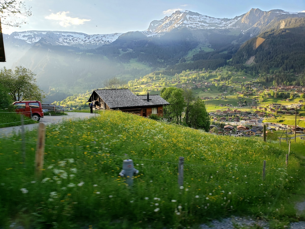 Paysage alpin verdoyant avec chalet traditionnel et montagnes enneigées.