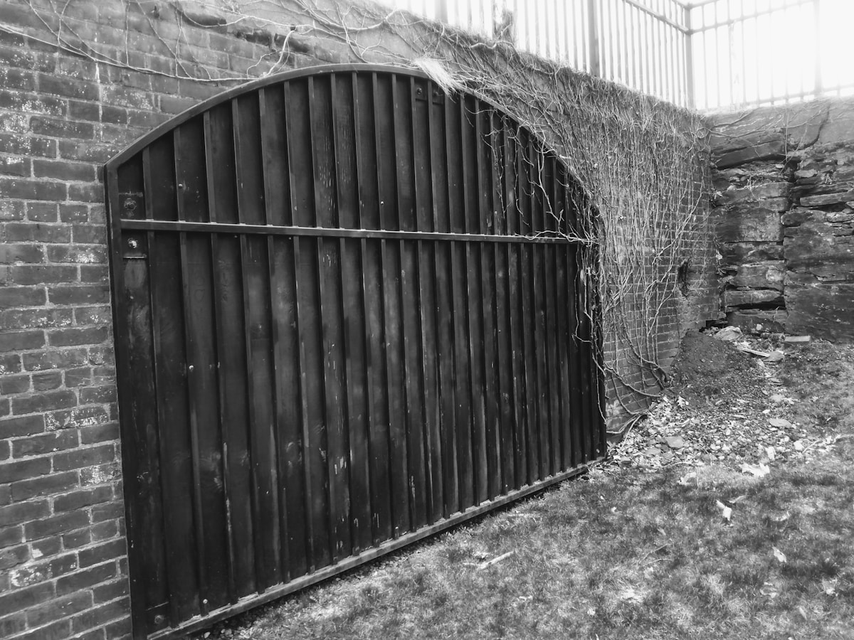 Porte en bois sombre, mur de briques, lierre grimpant, environnement rustique.