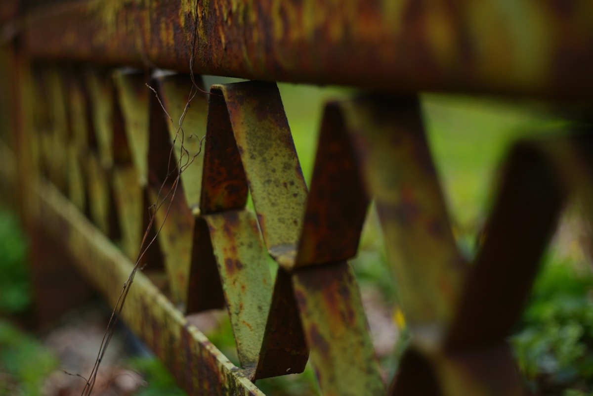 Morceaux de bois rouillés et moussus sur un tronc d'arbre.
