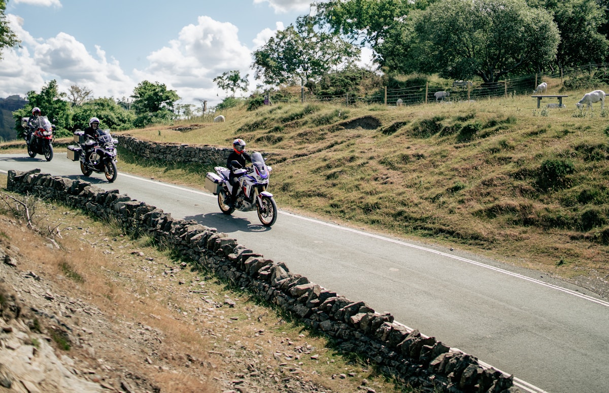 Motards sur une route de campagne entourée de verdure.