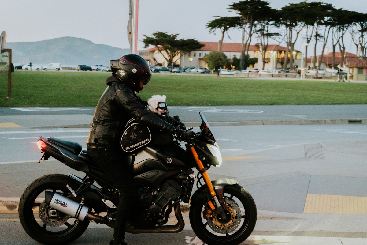 Motard sur une moto noire dans un environnement urbain.