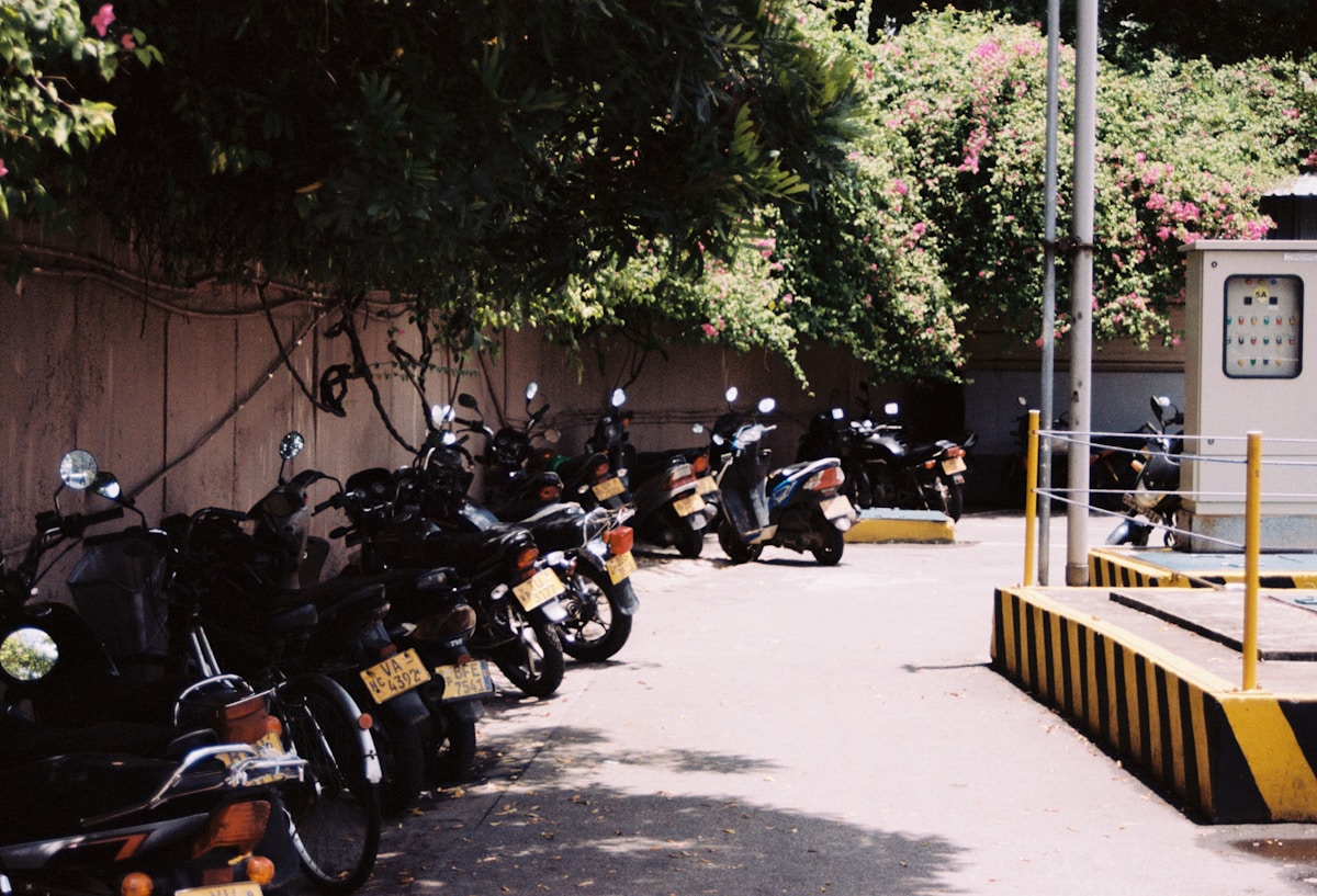 Rangée de motos garées dans une cour ombragée.