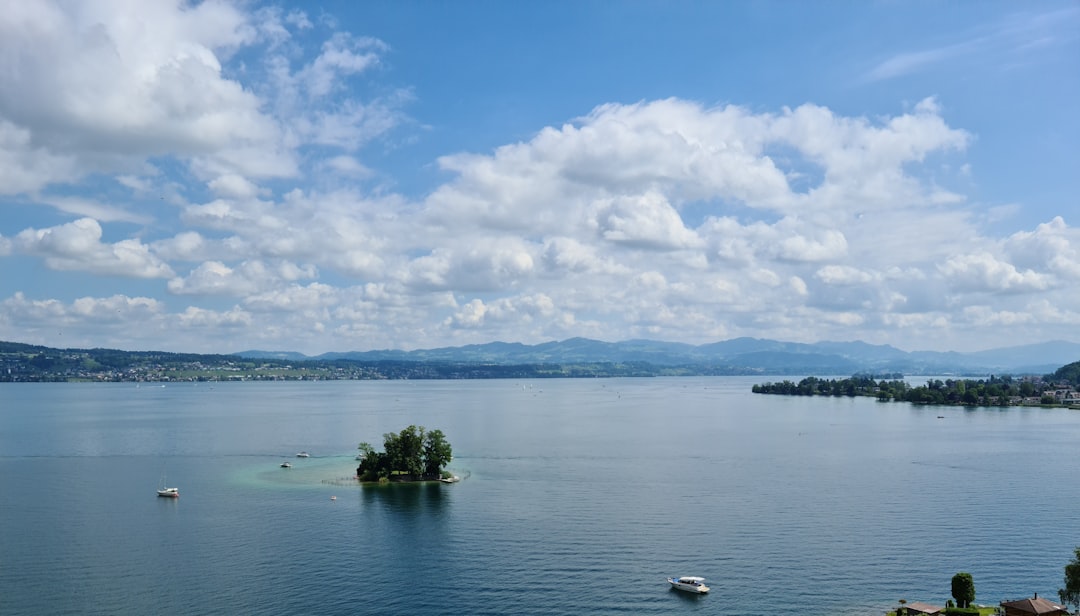 View of Lake Geneva and the Jet d'Eau, grounding the content locally.