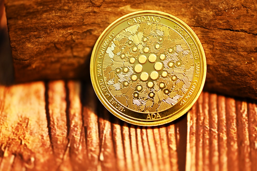 A stock photo showing a small plant sprouting from a pile of coins, symbolizing growth and investment.