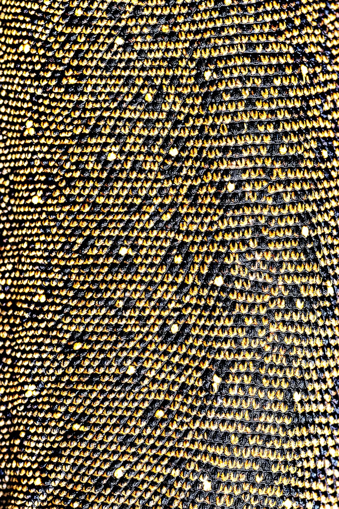 Un gros plan sur la texture d'une moustiquaire en fibre de verre de haute qualité, montrant sa robustesse et sa finesse.