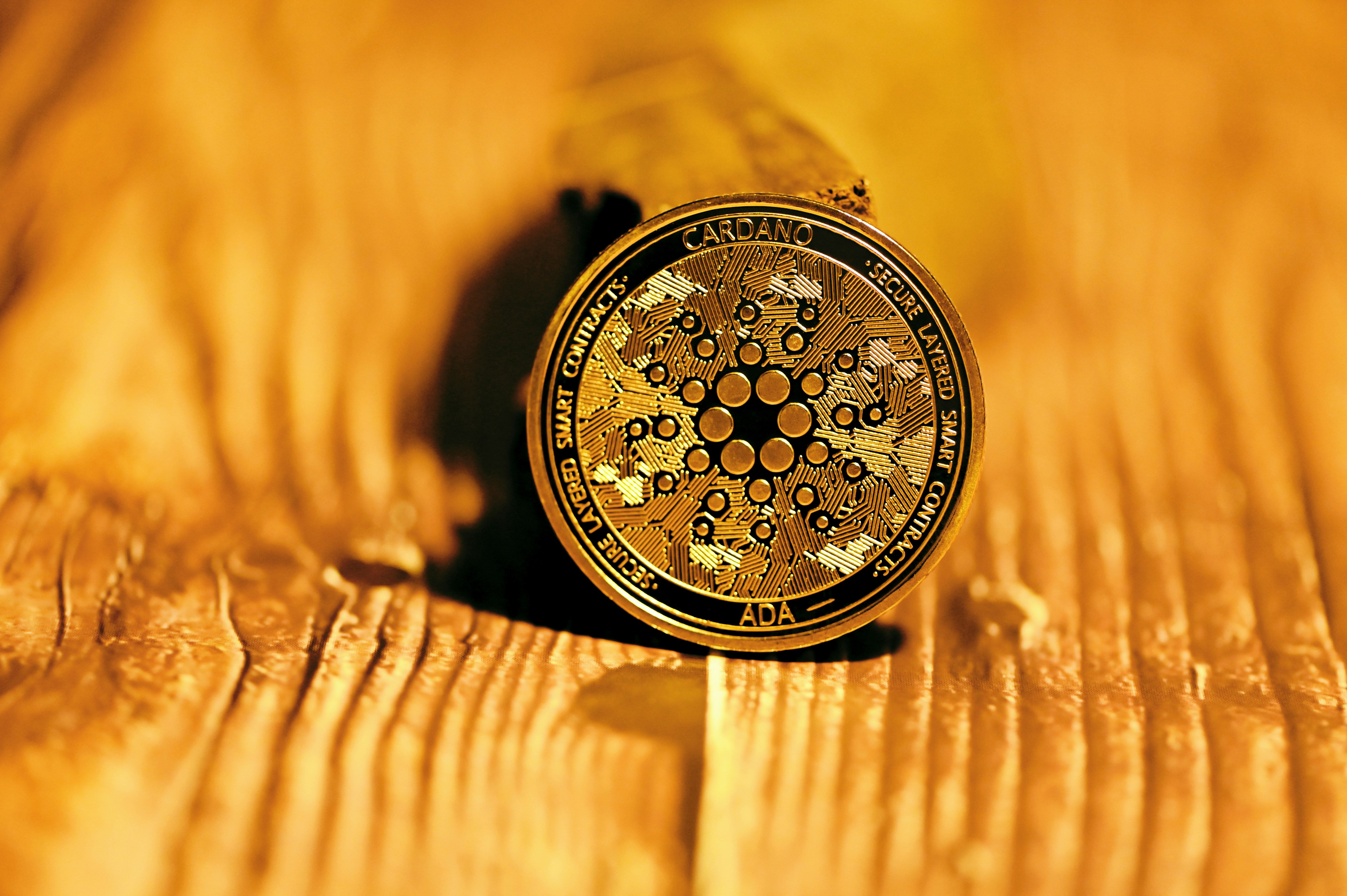 Gros plan sur les engrenages complexes et scintillants d'une montre de luxe, une image qui met l'accent sur la précision et l'attention au détail.