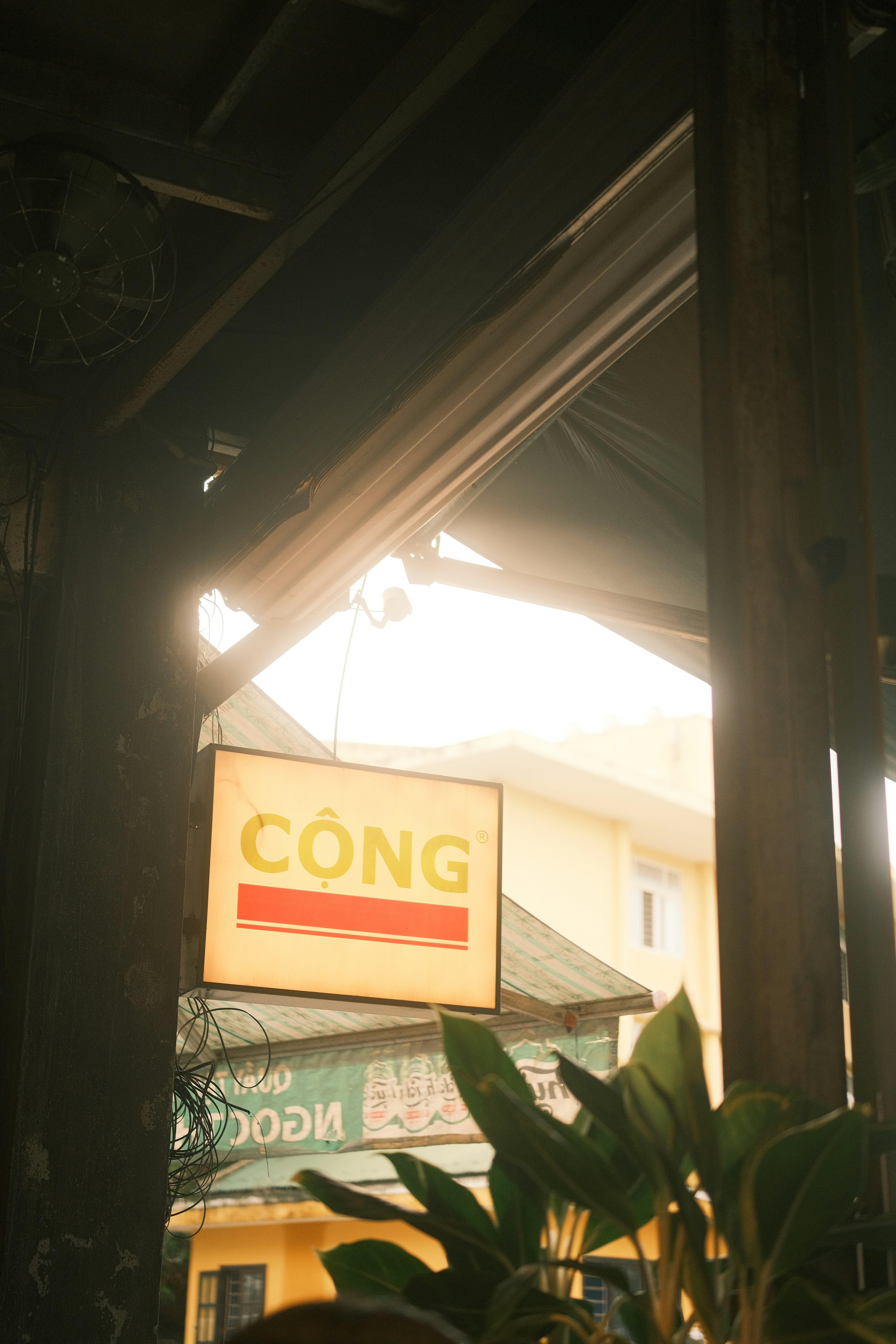 The cozy, welcoming storefront of a small local business, maybe a flower shop or bakery, glowing in the warm afternoon light.