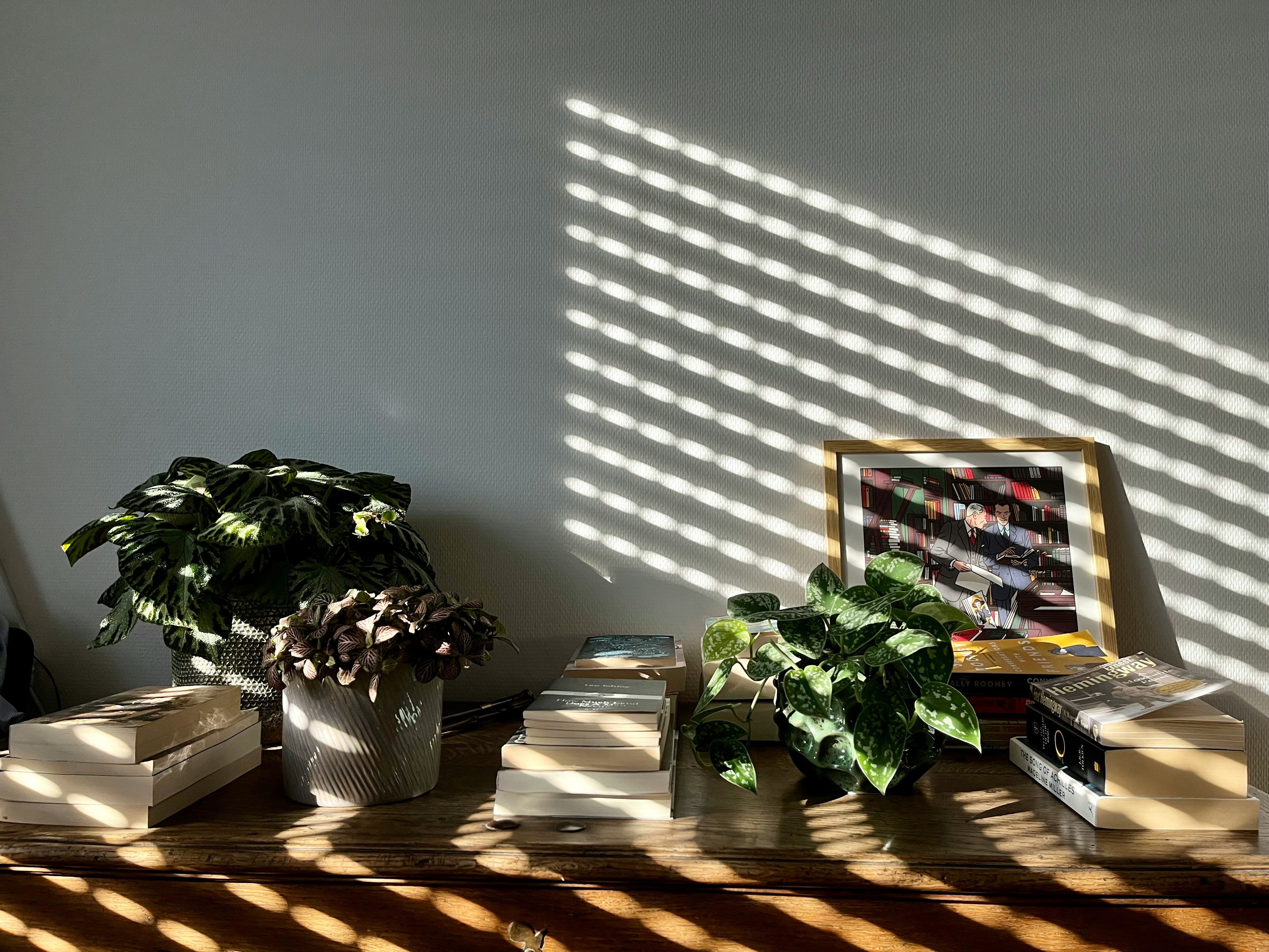 A bright and sunny living room with perfectly adjusted electric blinds letting in a soft, welcoming light.