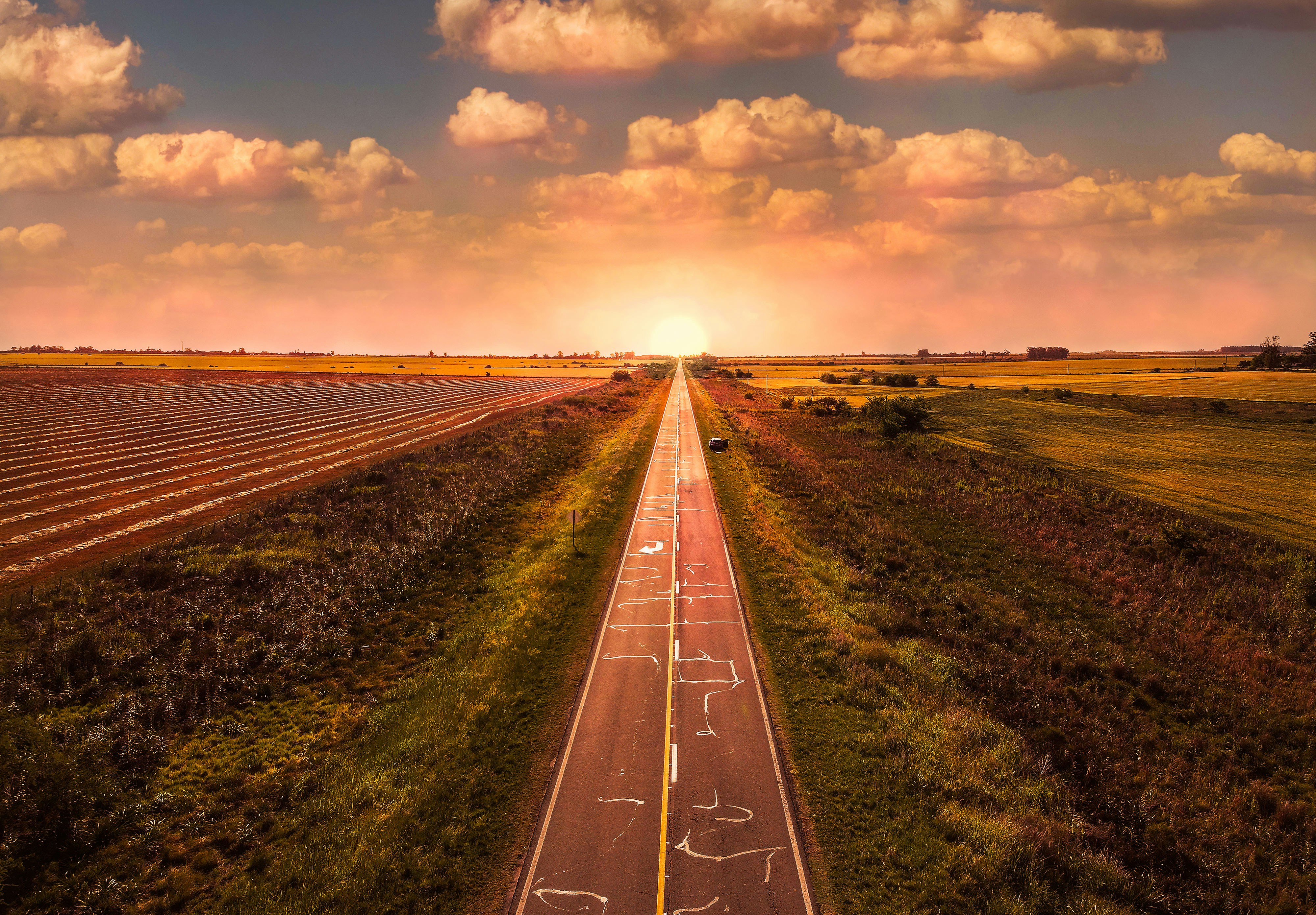 Un chemin de randonnée se divisant en deux dans une forêt, l'un est un sentier bien entretenu, l'autre est envahi par la végétation. Cela symbolise le choix stratégique à faire.