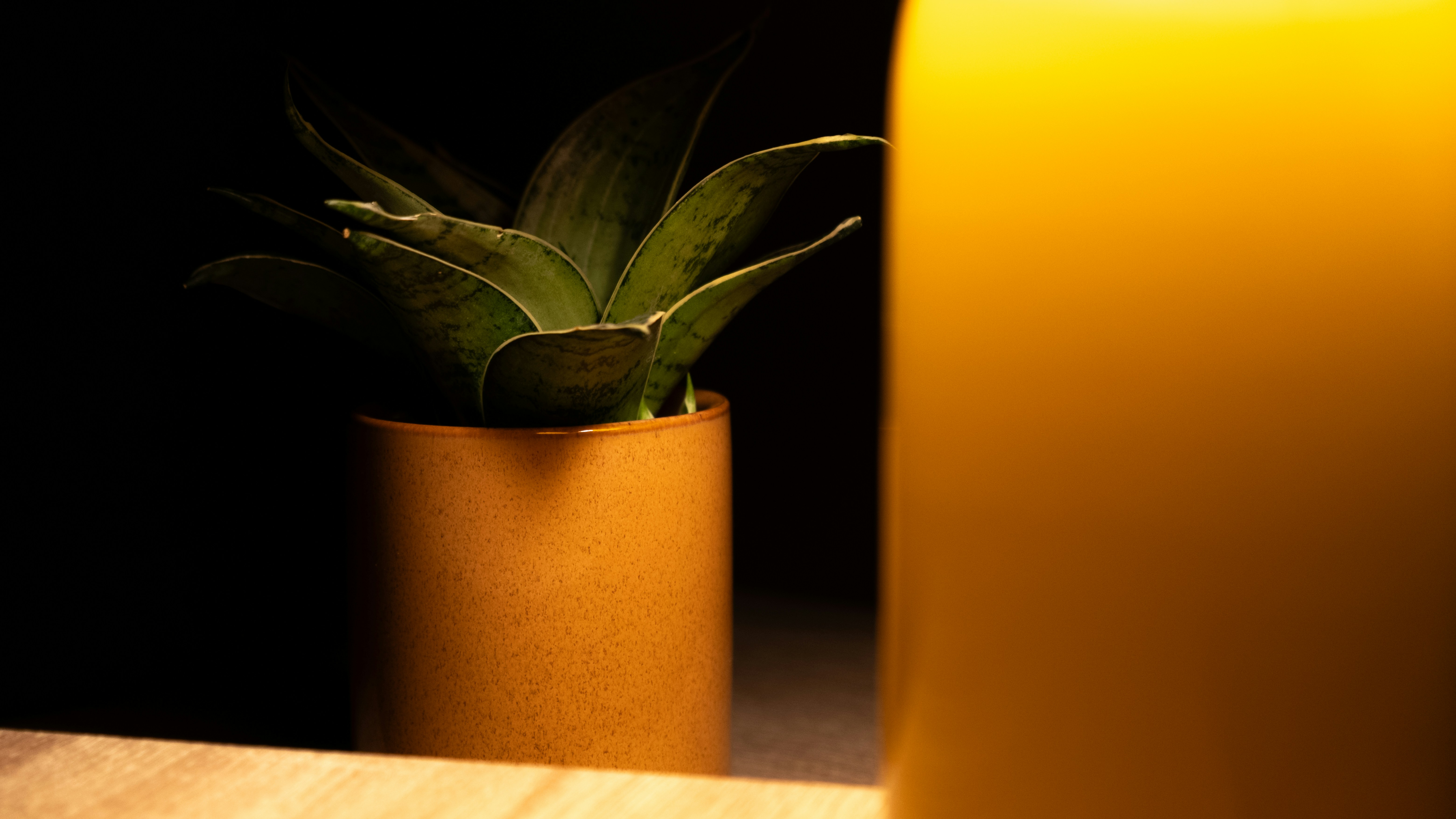 Image symbolique de la fertilité : un gros plan sur un bourgeon de fleur délicat qui commence à peine à s'ouvrir, avec des gouttes de rosée.