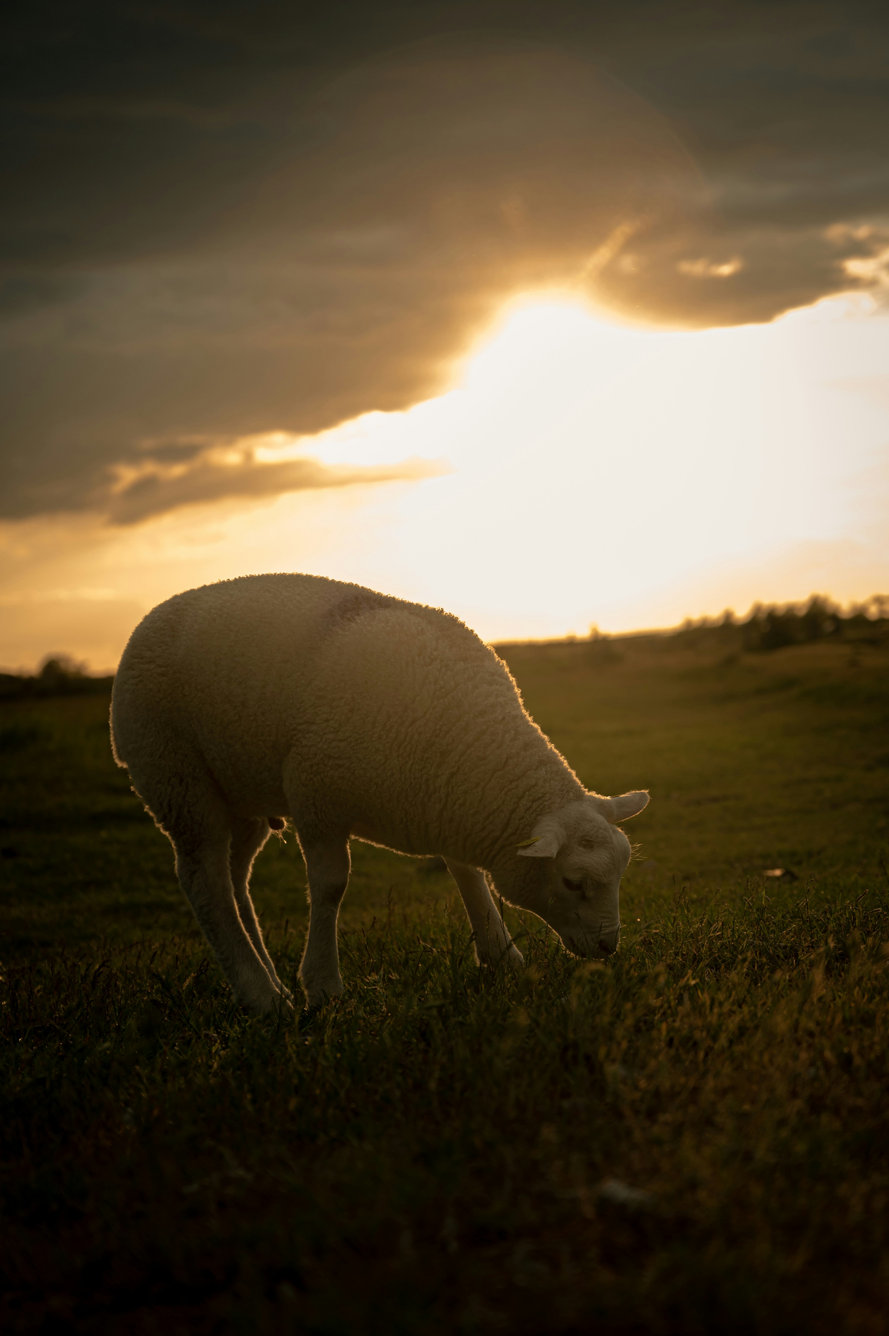 Une tirelire en forme de cochon avec une fissure visible, symbolisant les fuites d