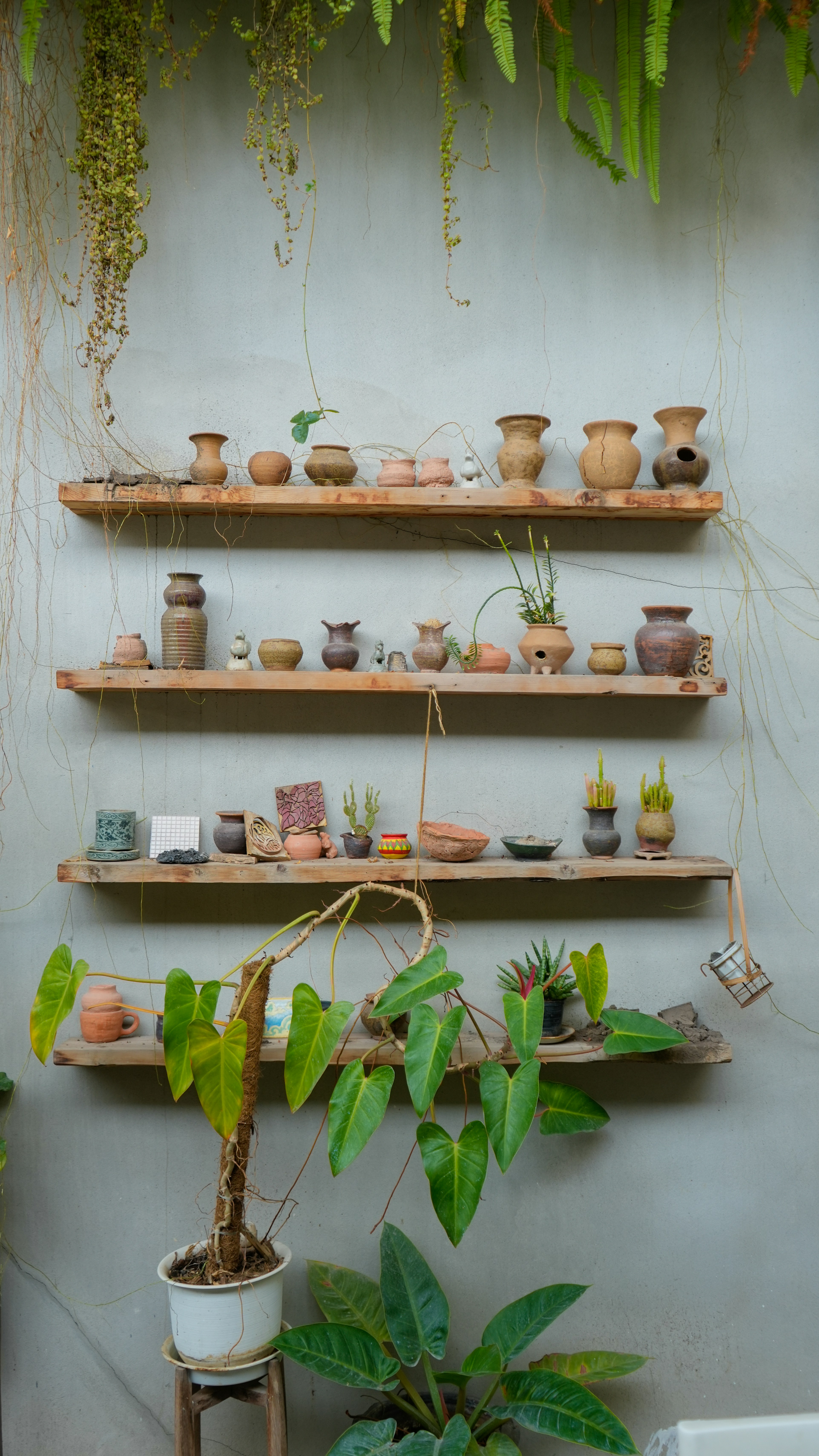 Imaginez une étagère murale en bois, joliment garnie d'accessoires variés : quelques petites plantes, des cadres photo qui vous sont chers et de jolis bibelots en céramique.