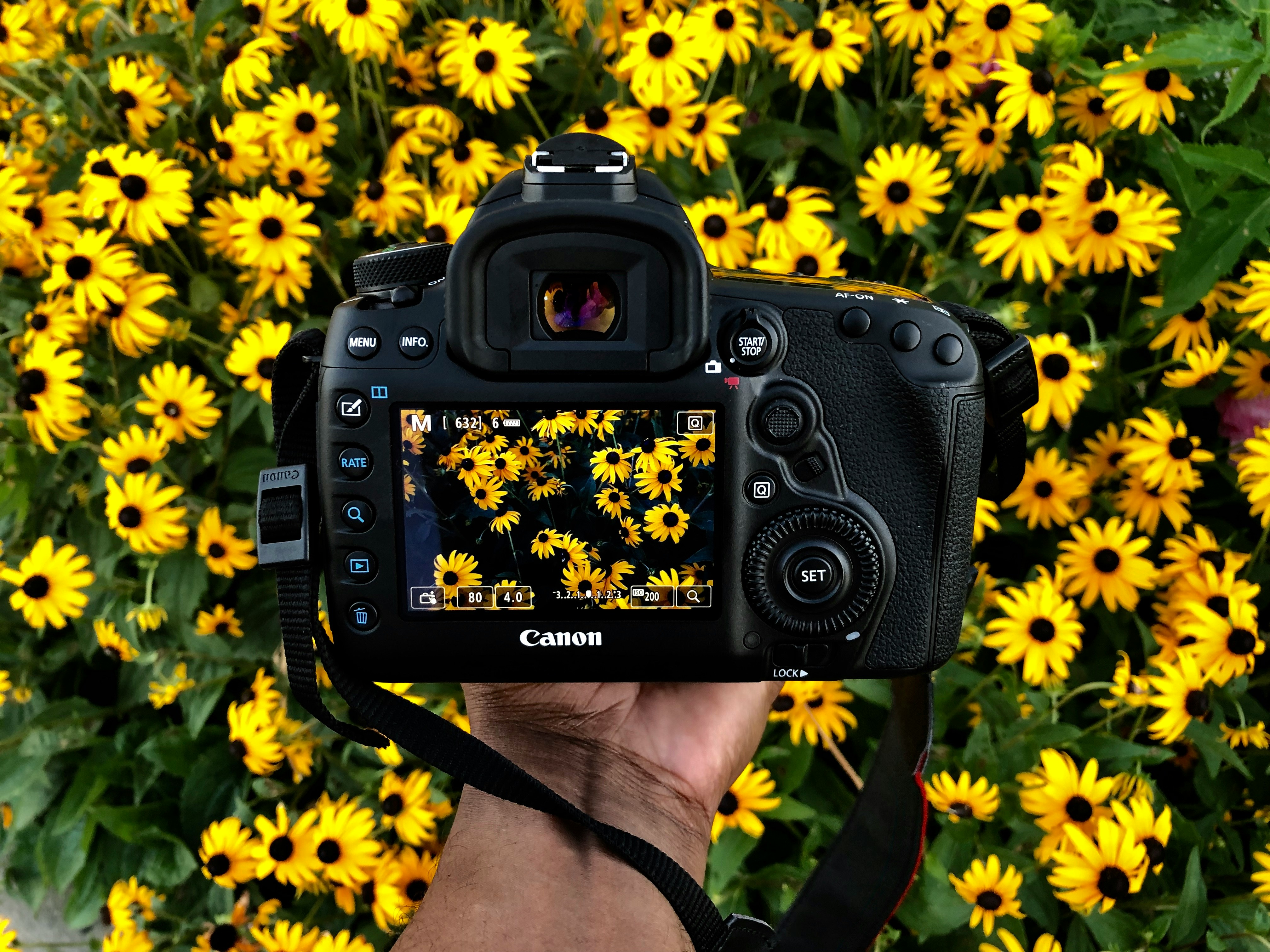 Un photographe montrant à un client les photos sur l'écran de son appareil photo dans un studio, tous deux souriant.
