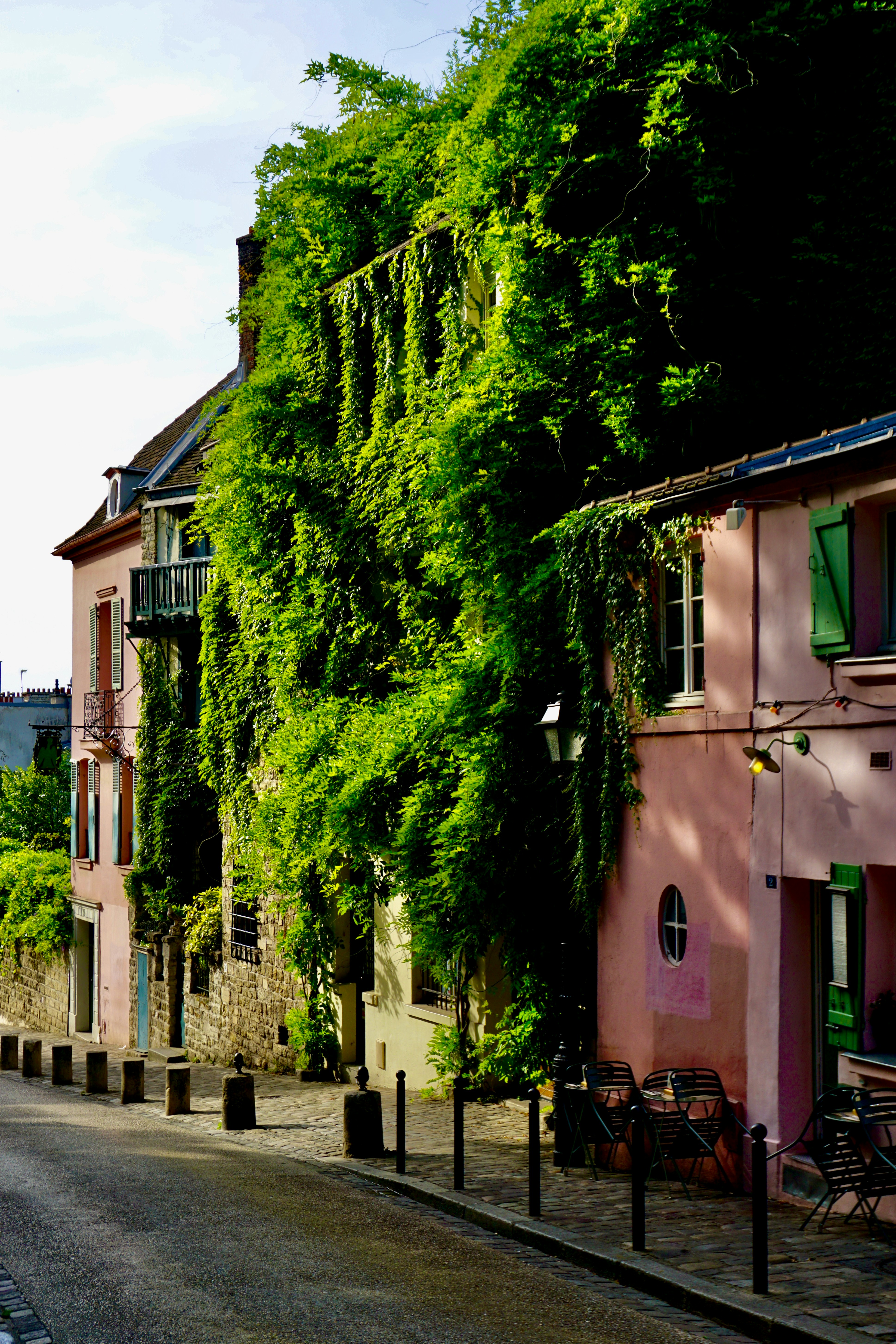 Photo d'une rue tranquille et pleine de verdure dans une petite ville française, pour capturer l'ambiance paisible de Vertou.